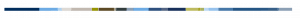 Foster Group color divider